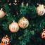 Put All The Trees Together For Christmas cover