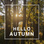HELLO AUTUMN 2023 cover