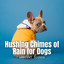 Ambient Sounds: Hushing Chimes of Rain for Dogs cover