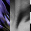Into The Dark artwork