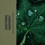 Soothing Harmony: Rain and Water Amidst the Forest cover
