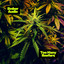 Too Many Reefers artwork
