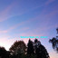 Saturday Night Life — Sunrise cover art