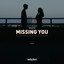 PALASTIC - Missing You