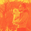 Piano Bossanova Duo (Music for Morning Dog Training) cover