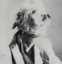 Shy Dog - Rio