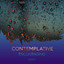 zZz Contemplative Encouraging Rain zZz cover