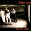 An dro de travers cover