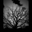 Save Me cover