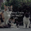 50 Chillout Tracks for Zen Spa For Cats cover