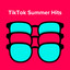 TikTok Summer Hits/Viral Songs cover