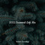 2022 Seasonal Lofi Mix cover