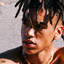 Backin Toronto cover