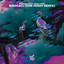 Birdcall - Tom Ferry Remix