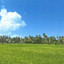 Indapinggir Kota cover