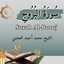 سورة البروج cover