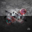 Dream & Disaster Ft. Micah Martin