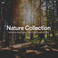 #01 Nature Collection for Peaceful Mind, to Relax in Free Time & Outdoor Activities cover