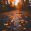 Kaela Black - Fall is Coming