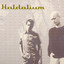 Haldolium — In The Wind cover art