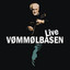 Vinterbruden cover
