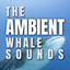 The Ambient Whale Sounds cover