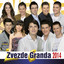 Zvezde Granda 2014 cover