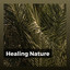 Healing Nature cover