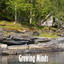 Unknown Title cover