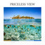 Priceless View cover