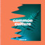 Common Culture, Vol. VII cover