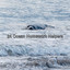 24 Ocean Homework Helpers cover
