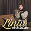LINTU cover