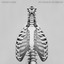 By Chance or Design cover