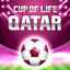 Cup of Life Qatar cover