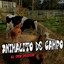 MERZA CAMPAÑA ANIVERSARIO - Chihuahua del 11 al 24 Sep spot 6