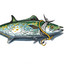 . - National Fishing Week - PSA