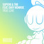 True Love feat. Envy Monroe - Extended Mix