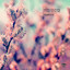 Nora En Pure, Satin Jackets - Come With Me Remix