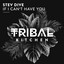 If I Can't Have You - Extended Mix