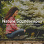 #01 Nature Soundscapes for Sleeping, Concentration While Studying and Focus On Your Breathing cover