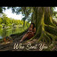 Who Sent You - Dani Devine