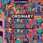 Ferhat Özsar — Alex Warren Ordinary Afro House Remix (Afro House Version) cover art