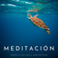 Meditación: Sonidos De Agua Para El Bienestar Físico cover
