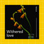Withered Love cover