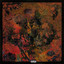 Acid Rain II cover