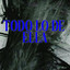 Jr Tropical Orq - Todo Tiene Su Fin (N)