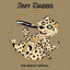 The Bobcat Special Amy Dabbs