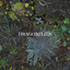 Dragonflies - Slower