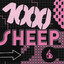 Anna Erhard - 1000 Sheep